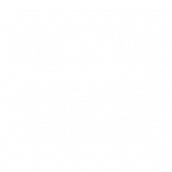KP_Logo_Wort-Bildmarke_Weiss